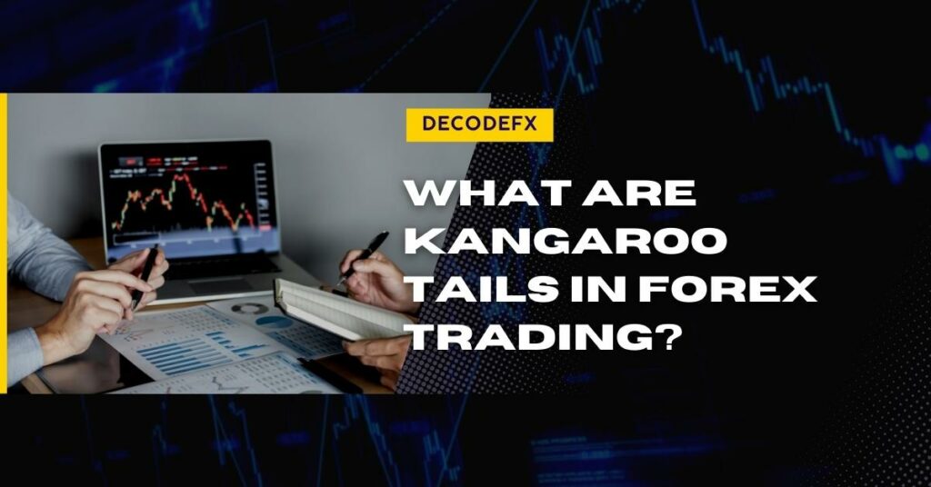 What Are Kangaroo Tails in Forex Trading
